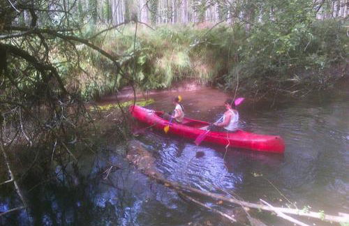 Holiday Home Near Rosa Granite Coast Beaches - Foto 5