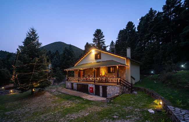 Dandy Villas Elatodasos Chalet Artemis - Foto 23