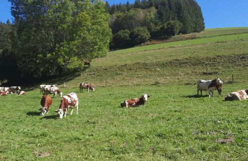 Appartement VERCORS 4 personnes - Foto 15