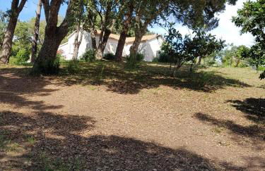 Casa San Niolo - Foto 23