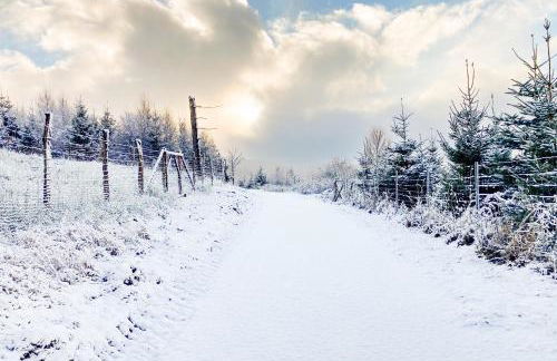 Luxury Apartments Winterberg in der alten Schule - Foto 34