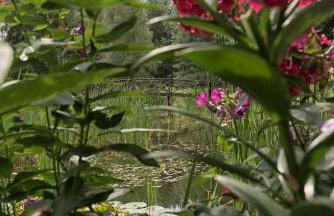 Zezuj Agroturystyka i Łowisko - Photo 72