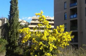 Le Torri Apartments - Photo 71