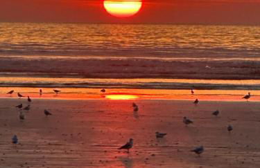 Appartement Design VIII - Port Rosmeur - Sublime vue Mer - Parking - Foto 45