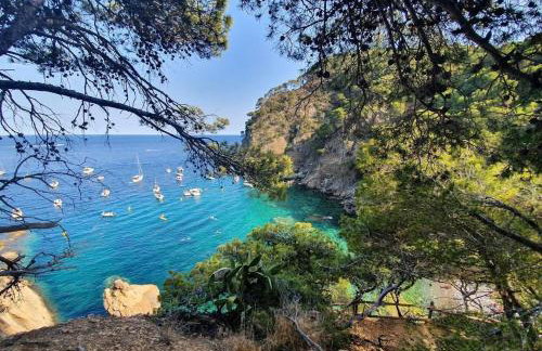 La Terrasse 6-Vue Mer Panoramique & Piscine, BBQ - Foto 72