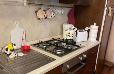 Appartamento “Sut l’Ala” - Foto 23