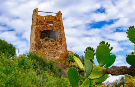 Orchid House - Foto 39