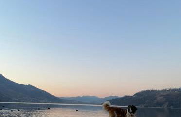 Lake Apartment Ischia Green, Lago di Caldonazzo - Foto 38