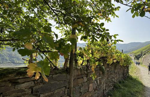 FeWo-KaRitz - Photo 23