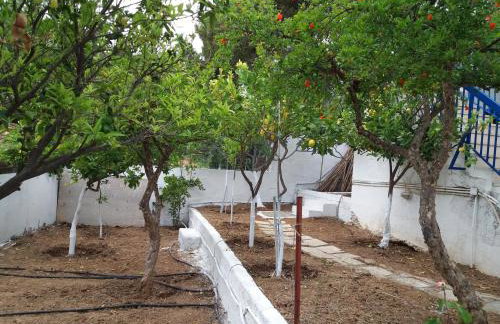 Aliki House - Foto 25