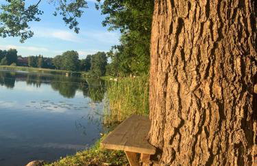 Między Brzozami - Foto 46