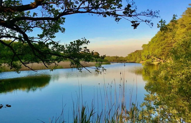 Holiday Home Marla Comfortable Vacation Home - Foto 16