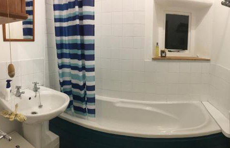 Swan Landing - Photo 7