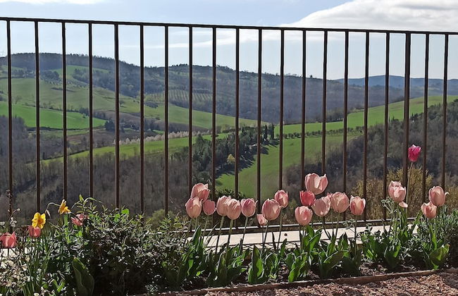 Agriturismo Casa Greppo - Il Mandorlo - Foto 33