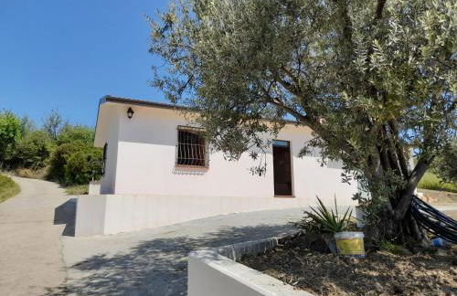 Villa Paradiso - Photo 9