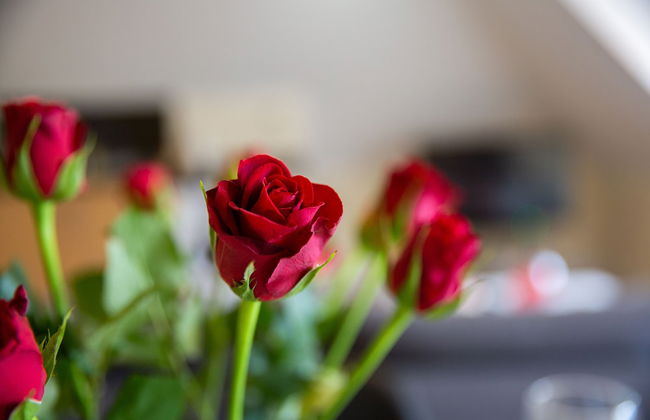 2-bedroom Penthouse, Clockhouse, Hoddesdon - Photo 39