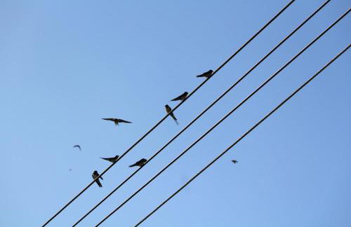 Entire flat 2 to 4 pers 1 bed 1 bath disabled access for limited disability - Foto 37