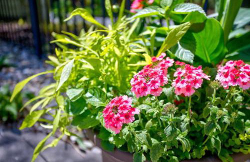 Beautiful Lakescape-4 BR Home with Heated Pool & Rec Space-Family Friendly - Foto 44