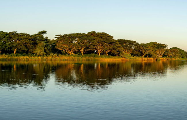 Mompox Private Sunset Cruise - Foto 1