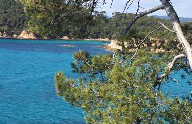 T3 FRONT de mer dernier étage vue mer Petit havre de paix pour vos vacances Emplacement unique vue mer panoramique à 180 degrés pour ce T3 en face de la plage front de mer vue sur les iles 5 et dernier étage avec ascenseur - Foto 31