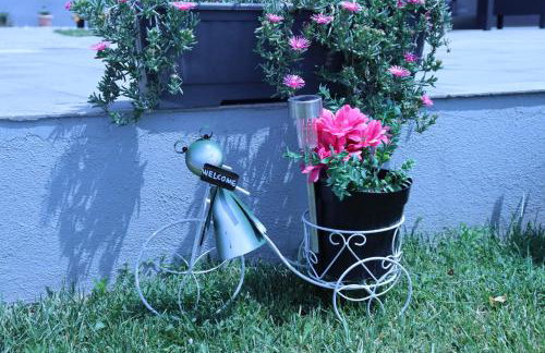 Villa Marin Smoljanci - Foto 47