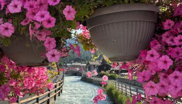 Grande Maison Du Coeur Champoluc Spa,Gym e Aree Relax - Foto 1