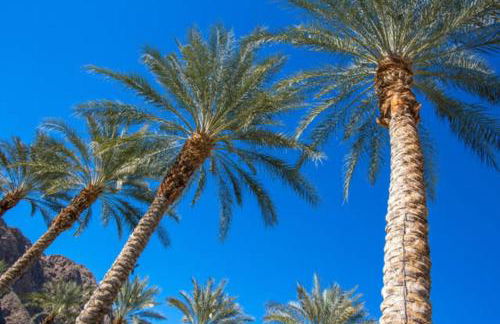 LegacyVilla 1 BR Suite,Patio,Views,Sleeps 4 - Photo 29