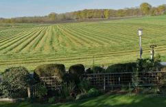 Bei Oparius - Photo 31