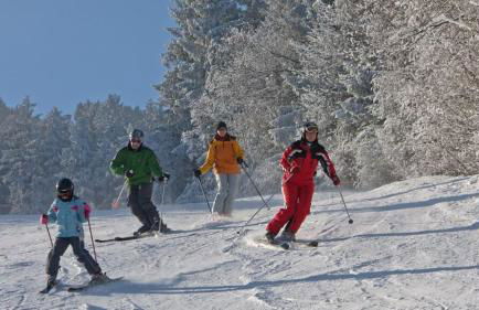 Ferienwohnung Hohenbogen - Foto 18