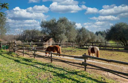 Villa immersed in green Isola dei Cavalli - Foto 24