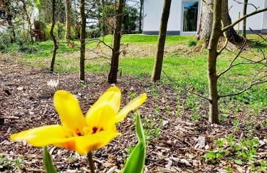 Freiraum Ferienhaus - Foto 23