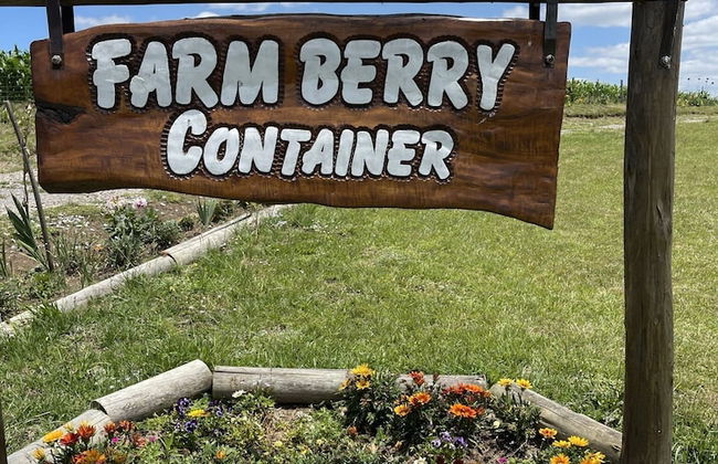 Fazenda de Morangos - Foto 8