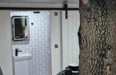 The Orchard's Nook Treehouse - Foto 26