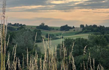 W Kręgu Natury - Foto 45