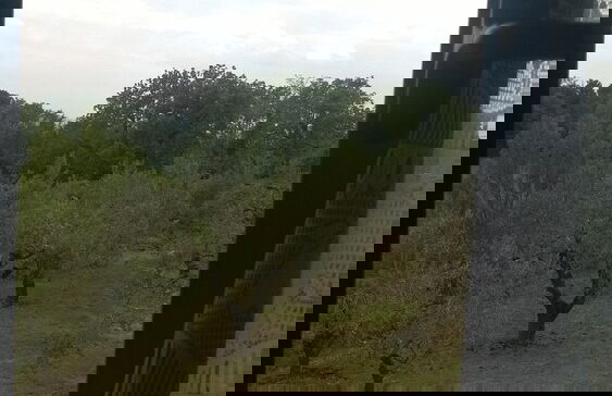 Farmhouse Paradiso - Foto 57