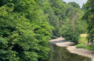 Luxury Modern 3 Bedroom House - Foto 21