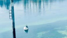 See Apart 3 - Foto 1