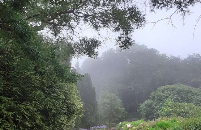 Private Tour durch Sintra mit Ortskundiger Reiseleiter & Hotelabholung - Foto 26