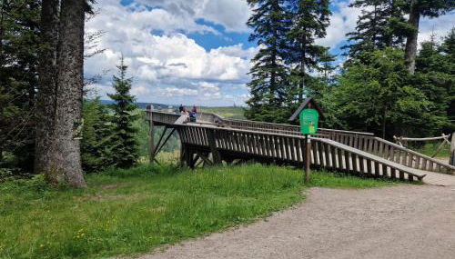 Ferienwohnungen Nordschwarzwald - Photo 2