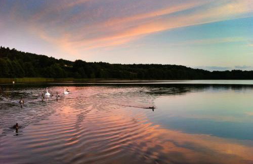 Studio Wisełka Leśna - Foto 19
