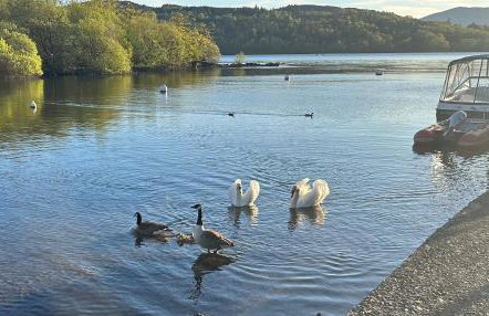 Owls House - Lodge with hot tub- Lake District - Photo 20