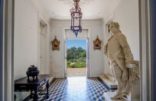 Quinta do Tojal - Foto 16