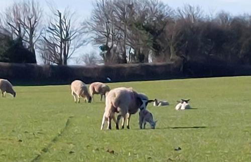 Seaview home in Baycliff, Cumbria - Foto 24