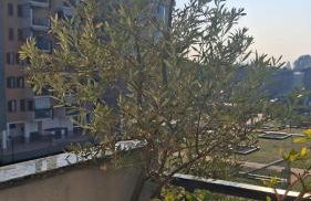 Bilocale comodamente collegato con centro Milano - Photo 7