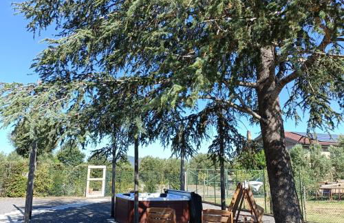 Macchie Basse Guest House - Agriturismo - Foto 13