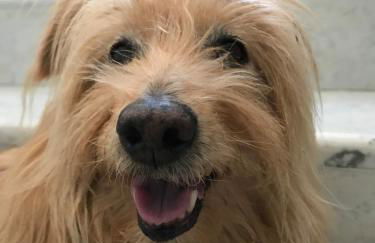 Arcobaleno Toscano - Foto 10