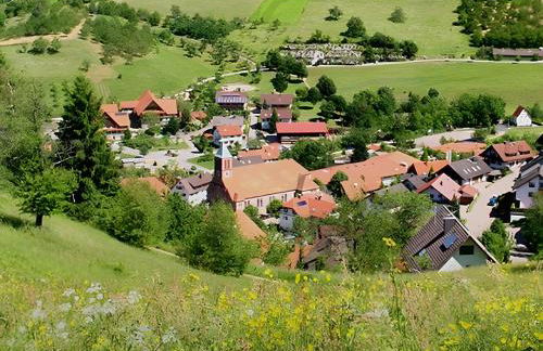 Wohnung mit Balkon im Schwarzwald - Foto 9