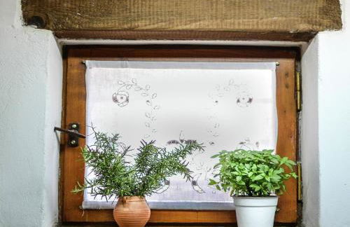 Villa in Crete With Vineyard Experience - Foto 62