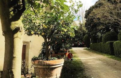 Villa I Bossi - Foto 45