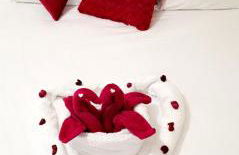 Le COSY Toulouse 3 min de la Gare à pieds Parking gratuit ventilateur - Foto 44